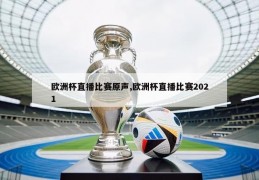 欧洲杯直播比赛原声,欧洲杯直播比赛2021