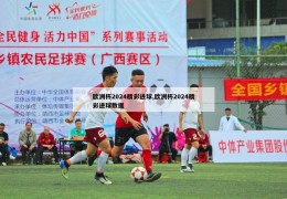 欧洲杯2024精彩进球,欧洲杯2024精彩进球数据