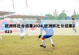 欧洲杯比分结果2024,欧洲杯比分结果2023