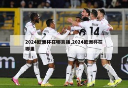 2024欧洲杯在哪直播,2024欧洲杯在哪里