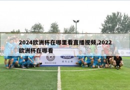 2024欧洲杯在哪里看直播视频,2022欧洲杯在哪看