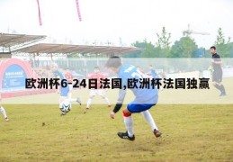 欧洲杯6-24日法国,欧洲杯法国独赢