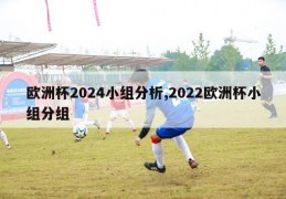 欧洲杯2024小组分析,2022欧洲杯小组分组