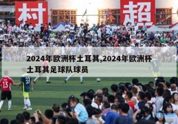 2024年欧洲杯土耳其,2024年欧洲杯土耳其足球队球员