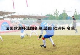 法国欧洲杯法国名单,法国 欧洲杯 名单