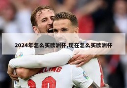 2024年怎么买欧洲杯,现在怎么买欧洲杯