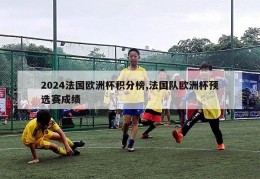 2024法国欧洲杯积分榜,法国队欧洲杯预选赛成绩