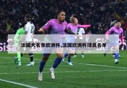 法国大名单欧洲杯,法国欧洲杯球员名单