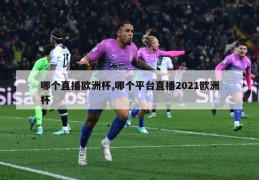 哪个直播欧洲杯,哪个平台直播2021欧洲杯