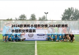 2024欧洲杯小组积分榜,2024欧洲杯小组积分榜最新