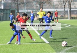 欧洲杯36支球队名单,欧洲杯球队名单ldsportsc