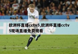 欧洲杯直播cctv5,欧洲杯直播cctv5现场直播免费观看