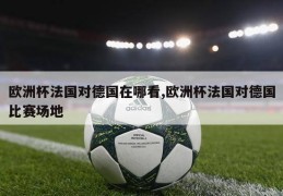 欧洲杯法国对德国在哪看,欧洲杯法国对德国比赛场地