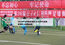 2024罗马尼亚欧洲杯,2024罗马尼亚欧洲杯小组赛战绩