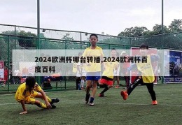 2024欧洲杯哪台转播,2024欧洲杯百度百科