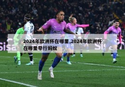 2024年欧洲杯在哪里,2024年欧洲杯在哪里举行蚂蚁