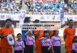 2025欧洲杯在哪里举行,2025欧洲杯在哪里举行比赛