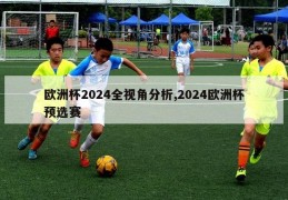 欧洲杯2024全视角分析,2024欧洲杯预选赛